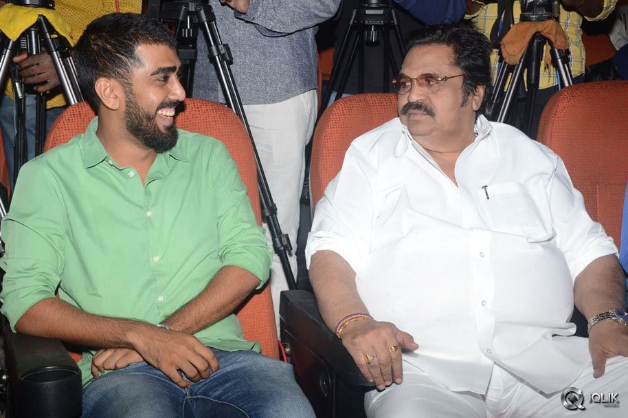 Pelli-Choopulu-Movie-Success-Meet